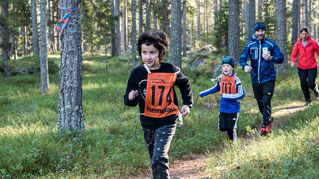 Barnens trail, Stormorstrailen